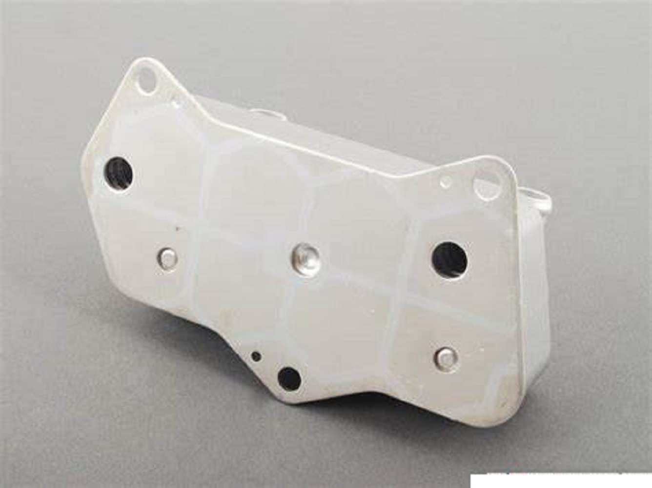 For Volkswagen / Audi / Seat / Skoda Oil Cooler 02E409061B 02E409061